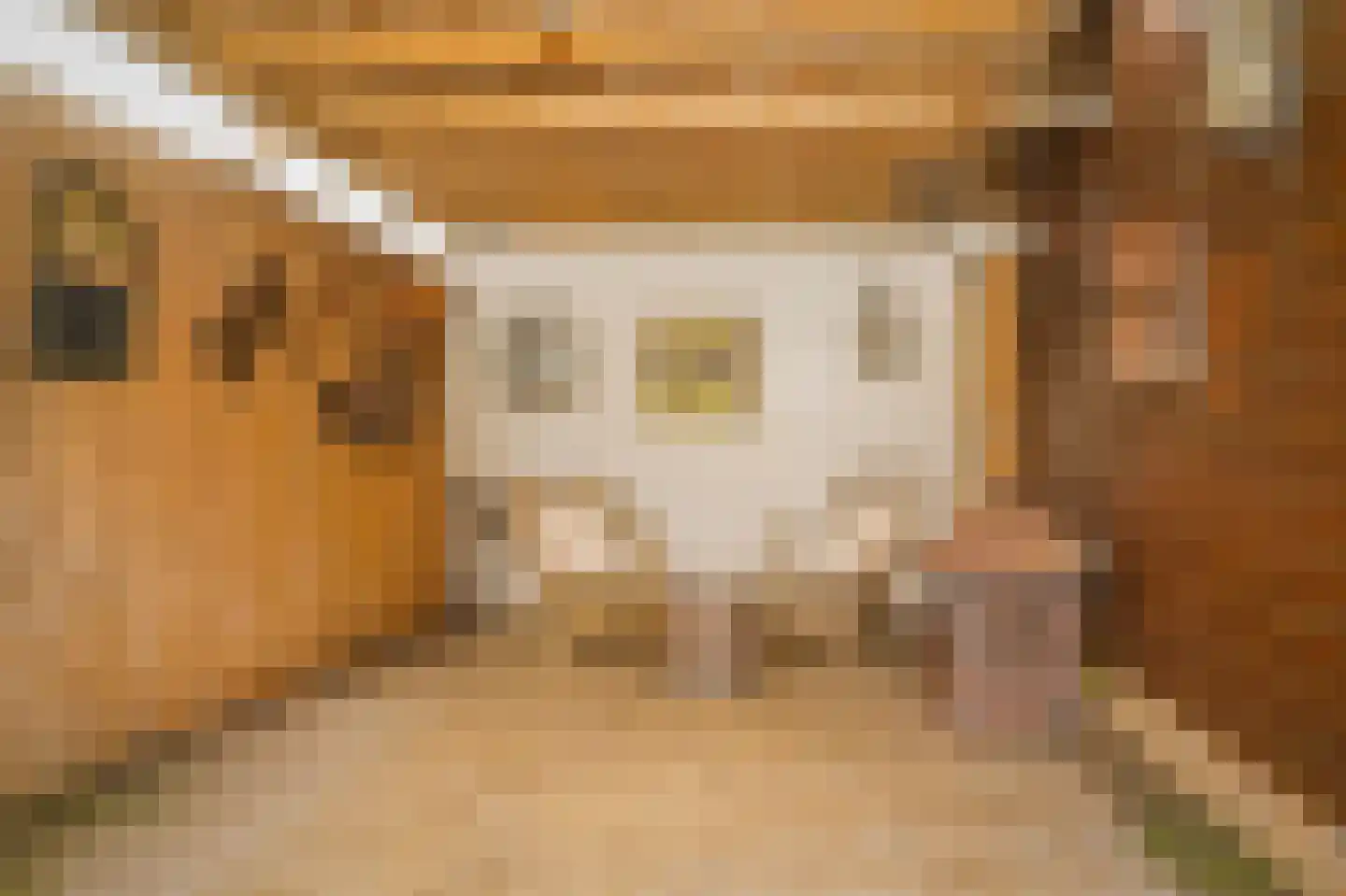 Spiraeastraat 30 Eck en Wiel thumbnail 30