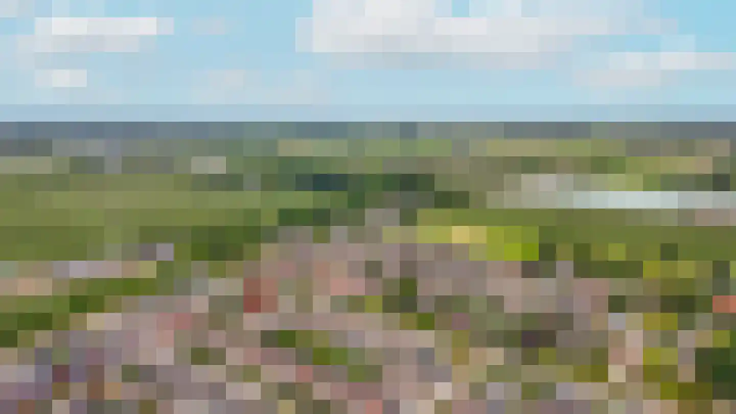 Spiraeastraat 30 Eck en Wiel thumbnail 39