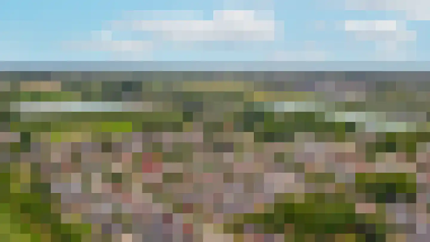 Spiraeastraat 30 Eck en Wiel thumbnail 40
