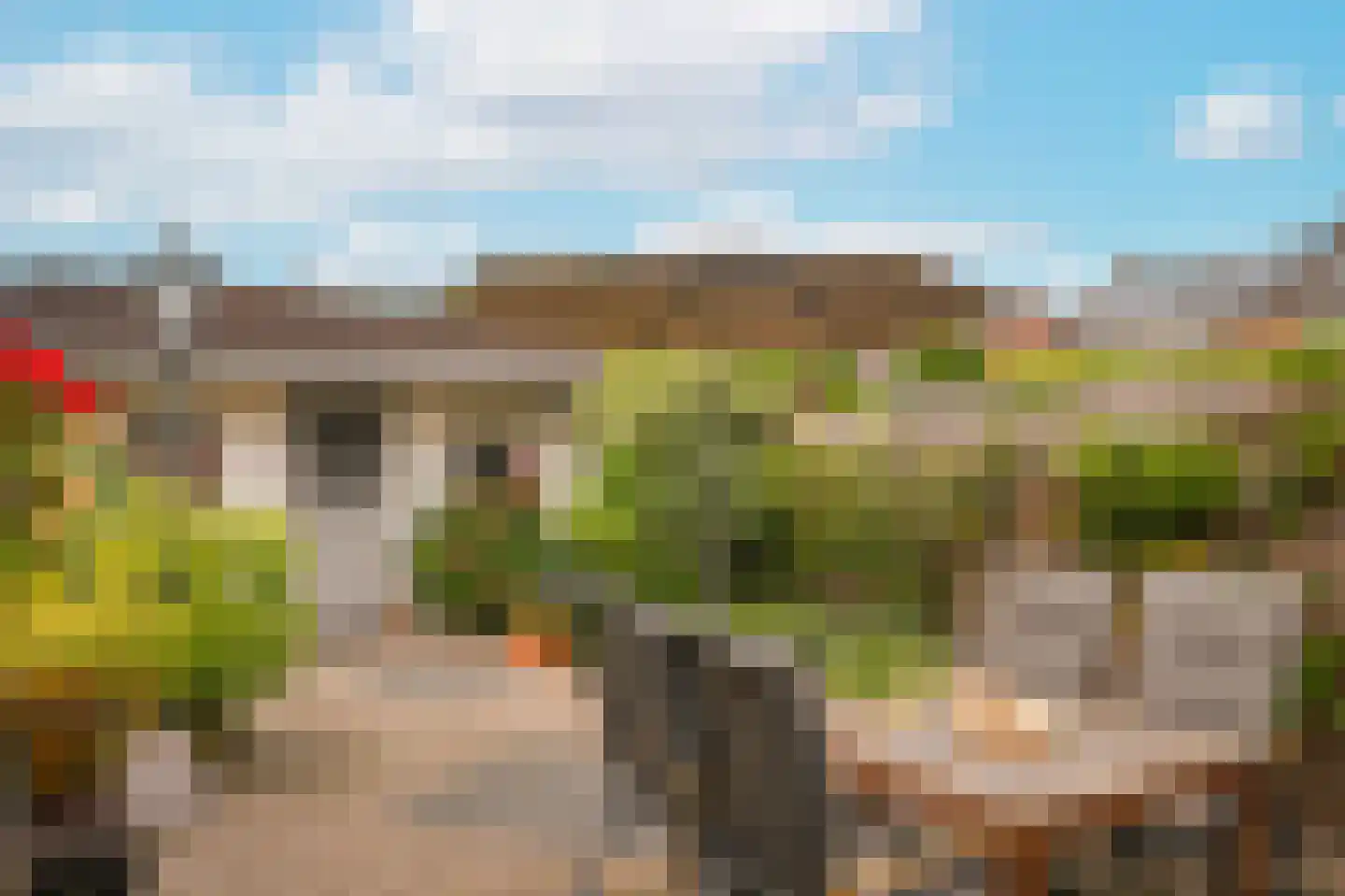 Spiraeastraat 30 Eck en Wiel thumbnail 6