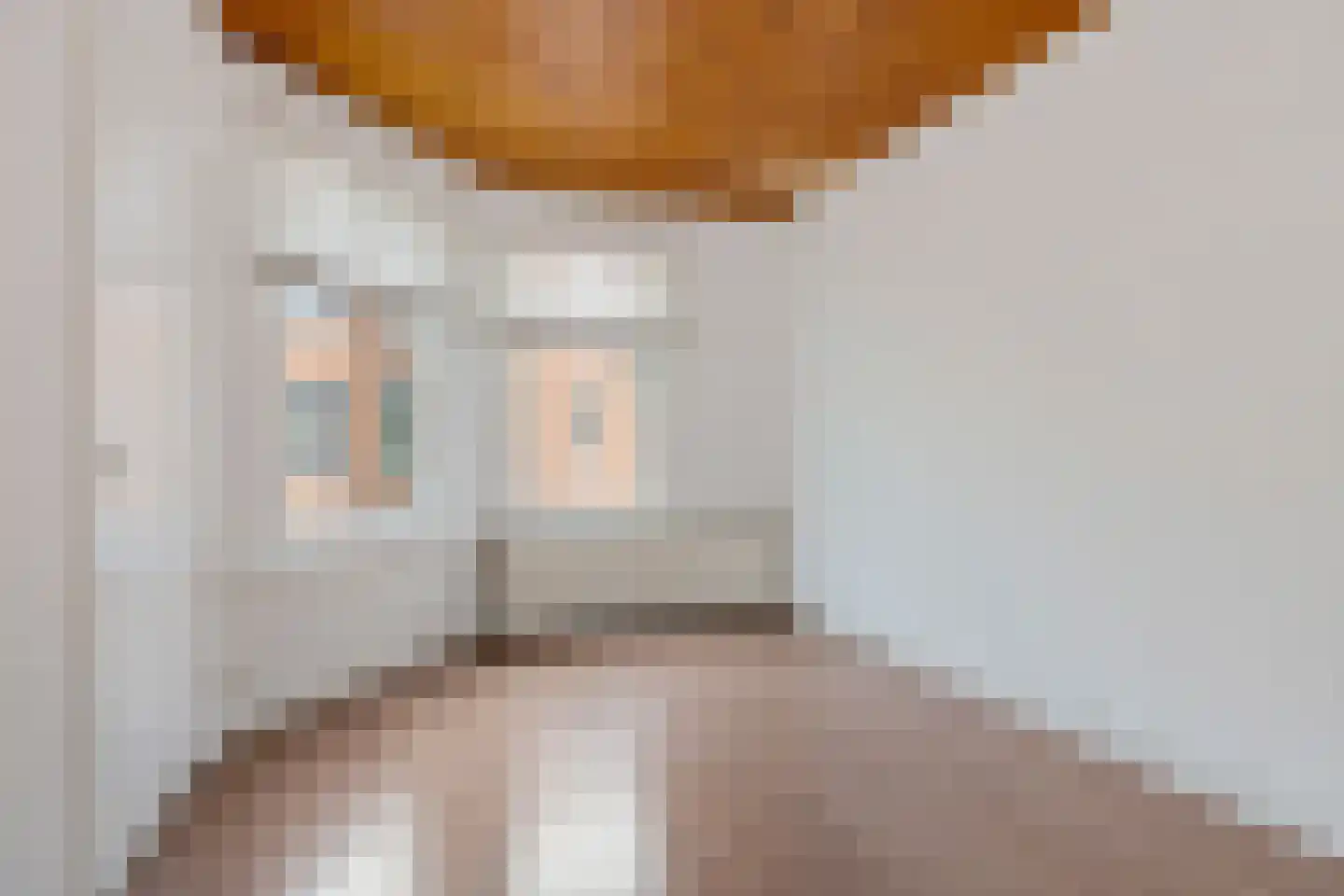 Spiraeastraat 32 Den Haag thumbnail 10