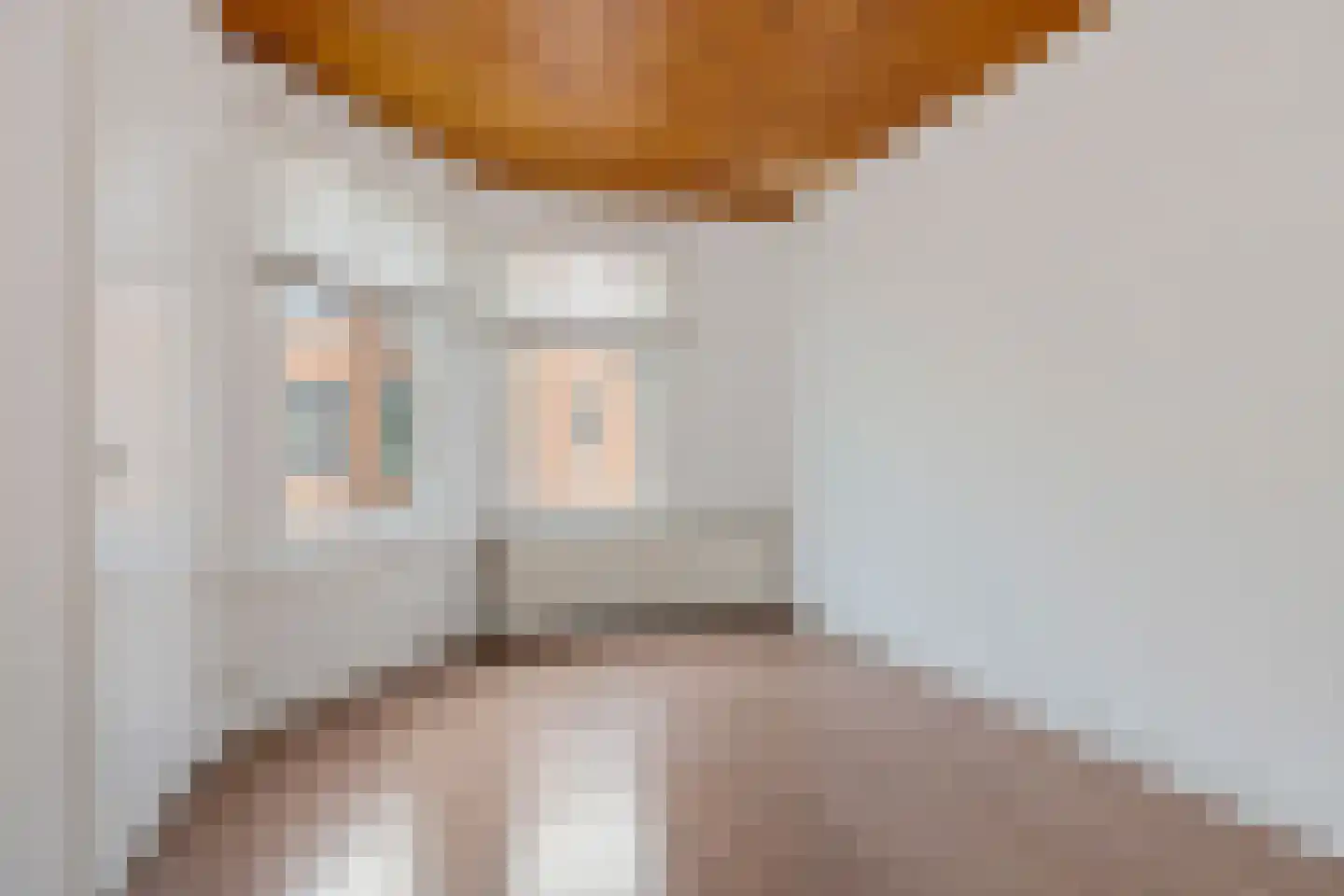 Spiraeastraat 32 Den Haag thumbnail 10