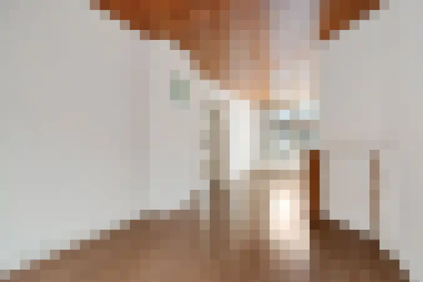 Spiraeastraat 32 Den Haag thumbnail 12