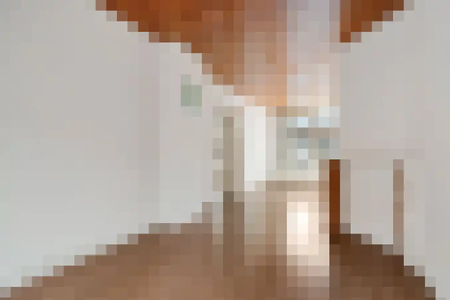 Spiraeastraat 32 Den Haag thumbnail 12