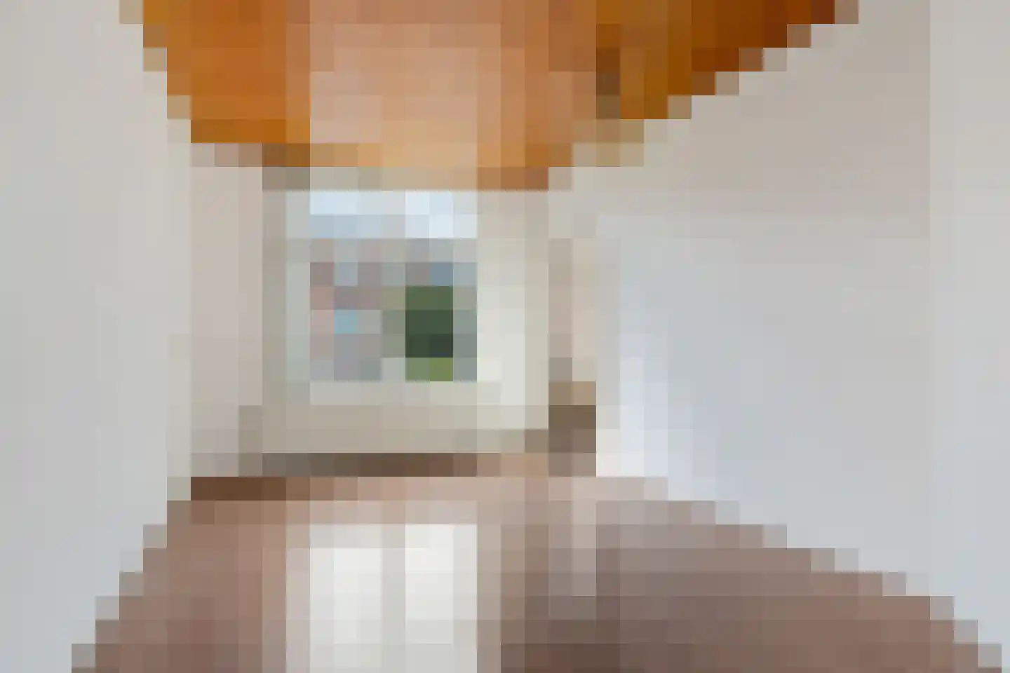 Spiraeastraat 32 Den Haag thumbnail 13
