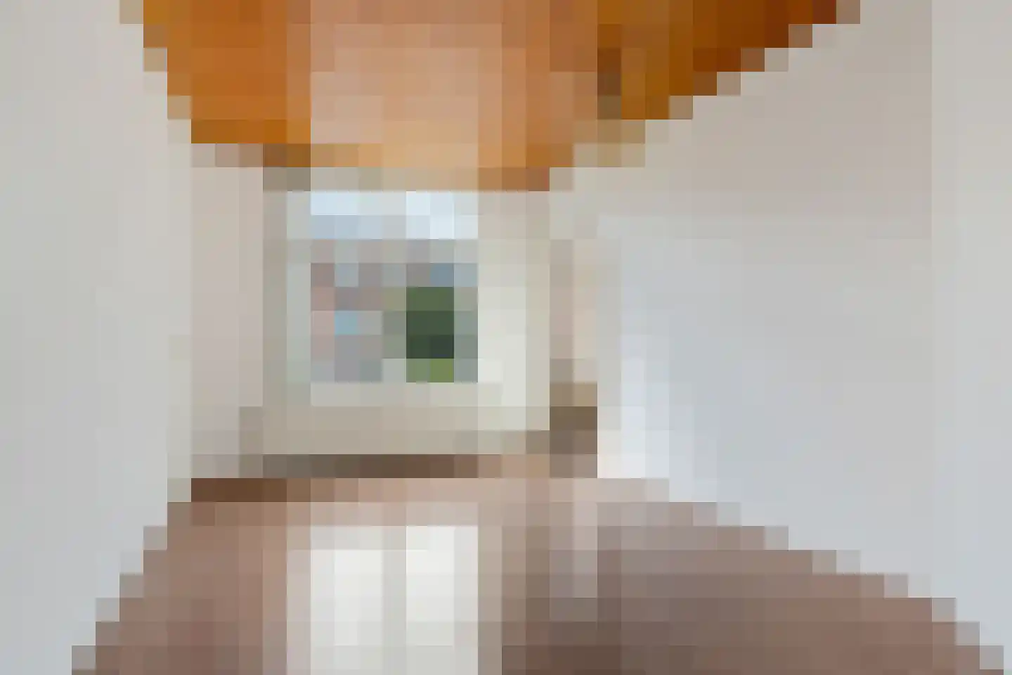 Spiraeastraat 32 Den Haag thumbnail 13
