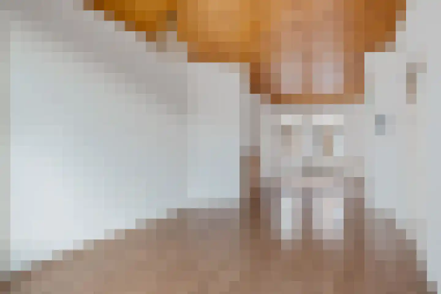 Spiraeastraat 32 Den Haag thumbnail 15