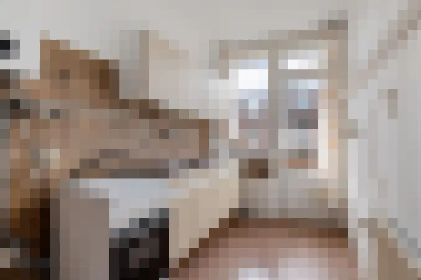 Spiraeastraat 32 Den Haag thumbnail 17