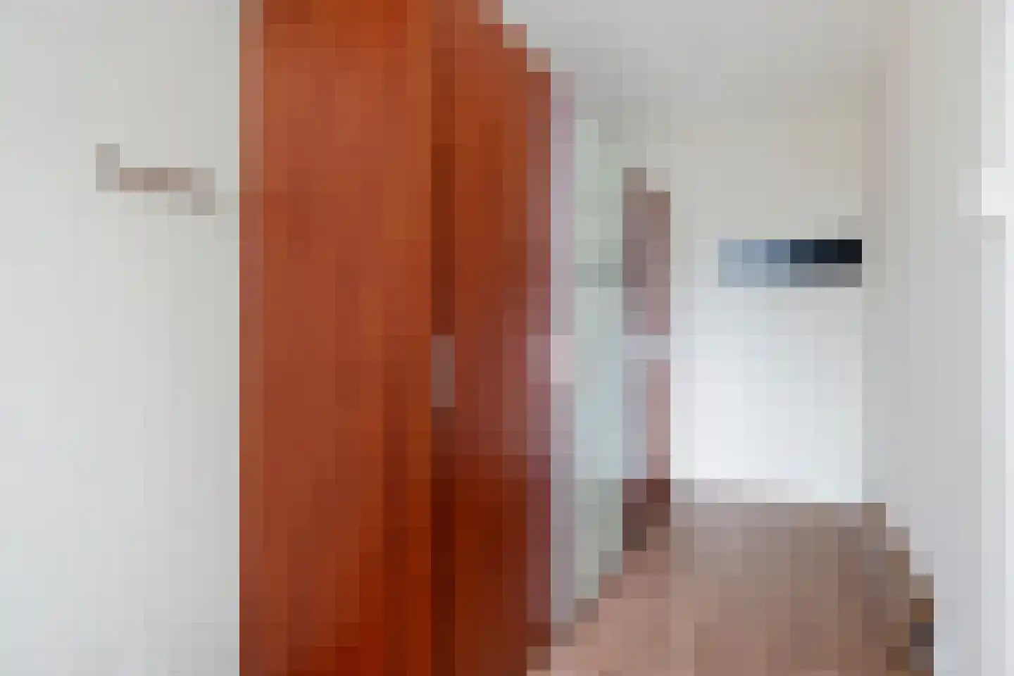 Spiraeastraat 32 Den Haag thumbnail 23
