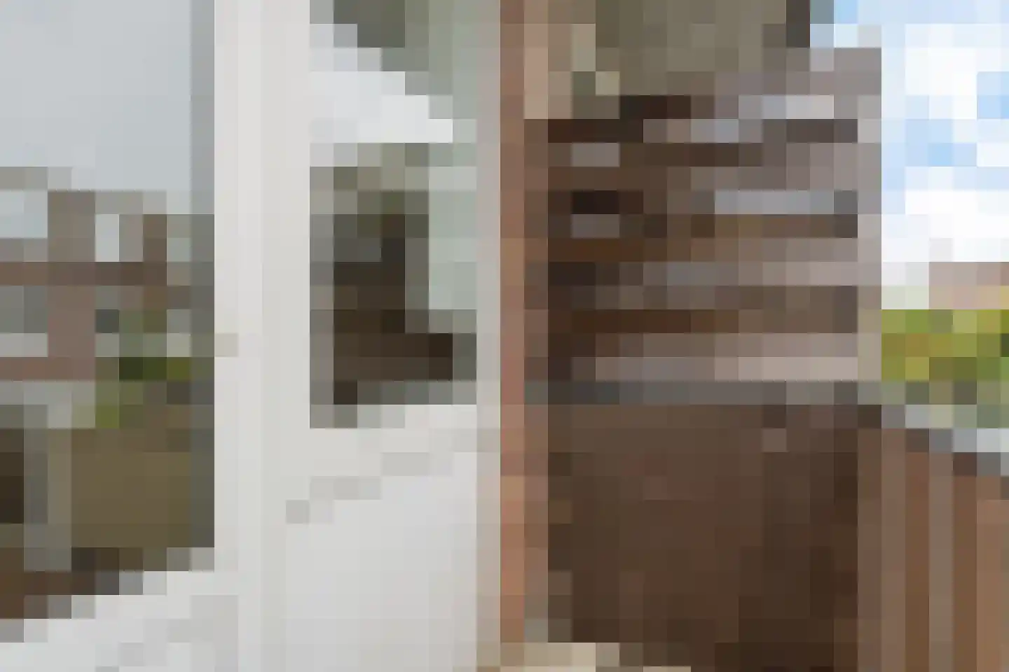 Spiraeastraat 32 Den Haag thumbnail 29