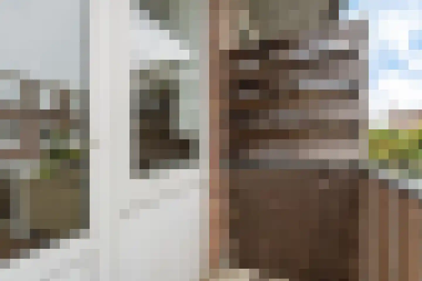 Spiraeastraat 32 Den Haag thumbnail 29