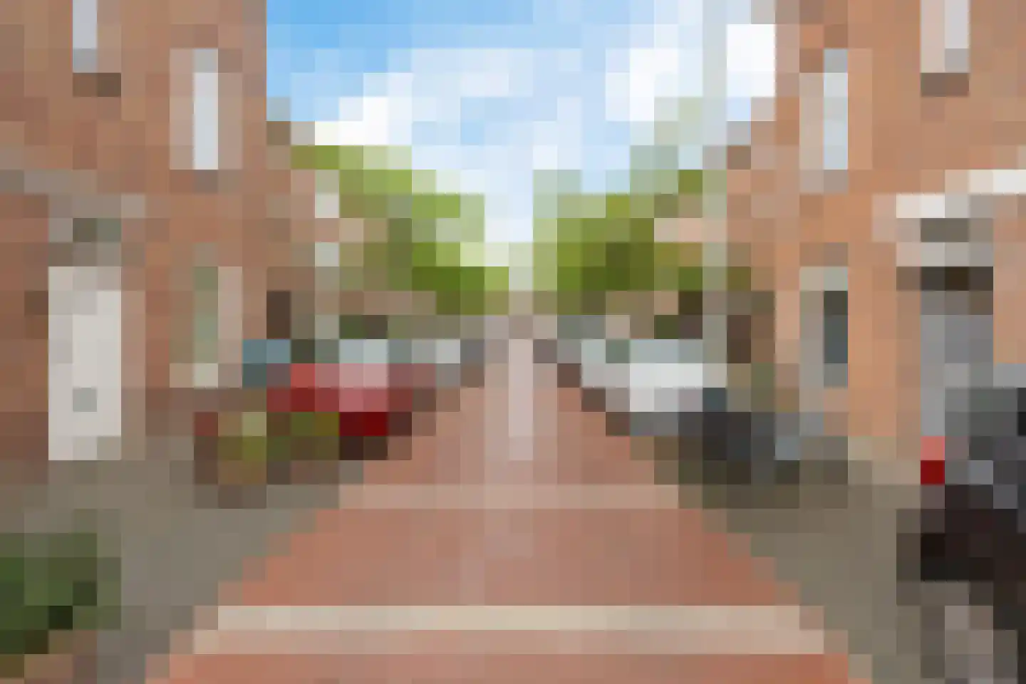 Spiraeastraat 32 Den Haag thumbnail 4
