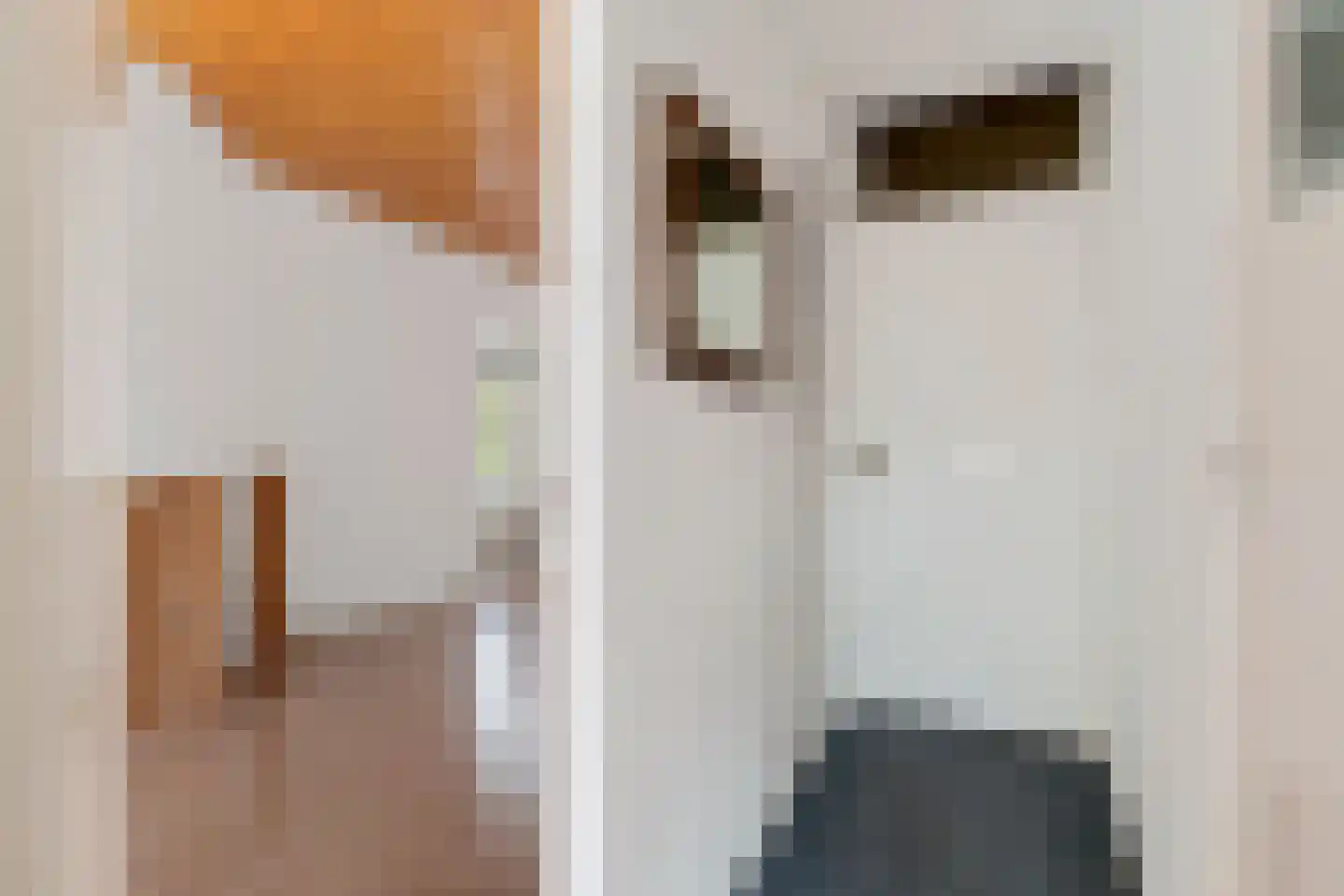 Spiraeastraat 32 Den Haag thumbnail 8