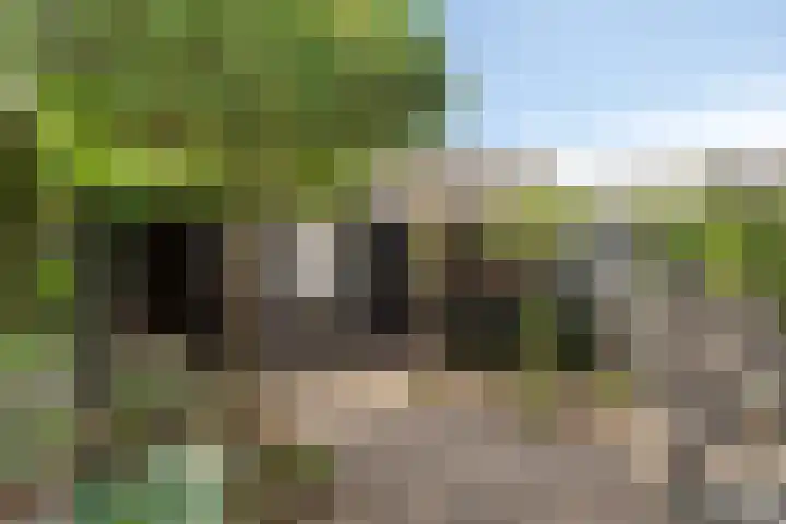 Spiraeastraat 32 Ederveen thumbnail 23