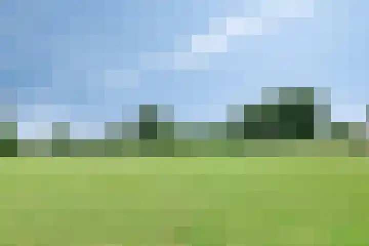 Spiraeastraat 32 Ederveen thumbnail 31
