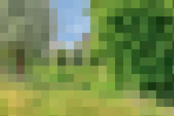 Spiraeastraat 32 Ederveen thumbnail 32