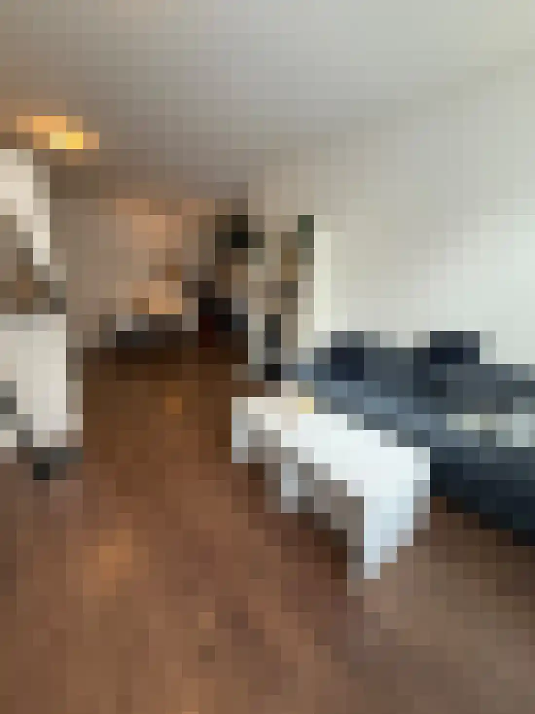 Spiraeastraat 47 Eindhoven thumbnail 9