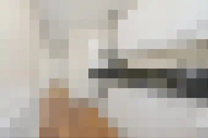 Spiraeastraat 51 Den Haag thumbnail 12