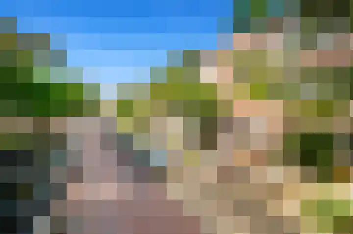 Spiraeastraat 51 Den Haag thumbnail 30