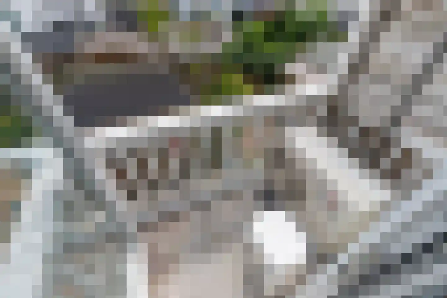 Spiraeastraat 66 Den Haag thumbnail 22
