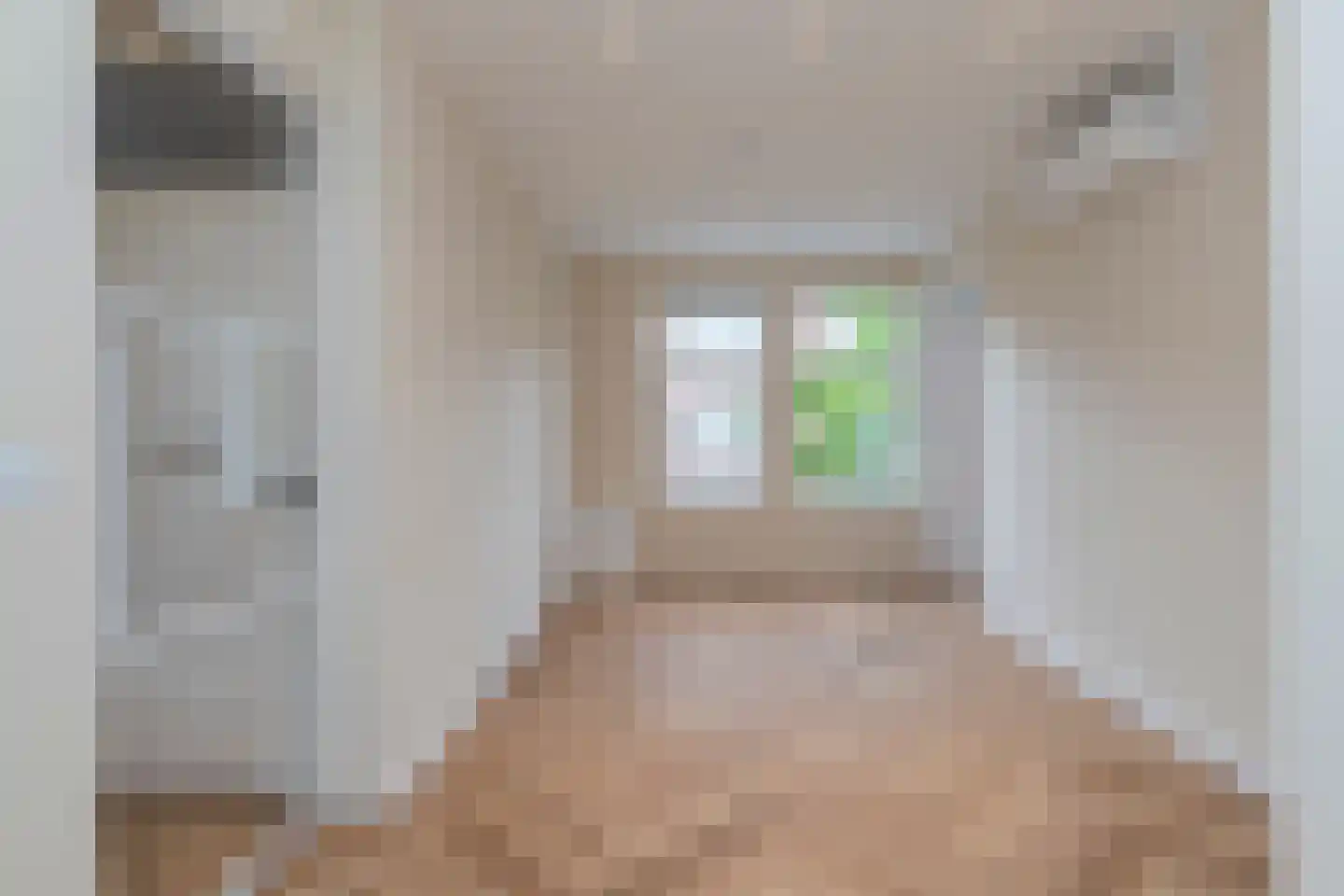 Spiraeastraat 66 Den Haag thumbnail 6
