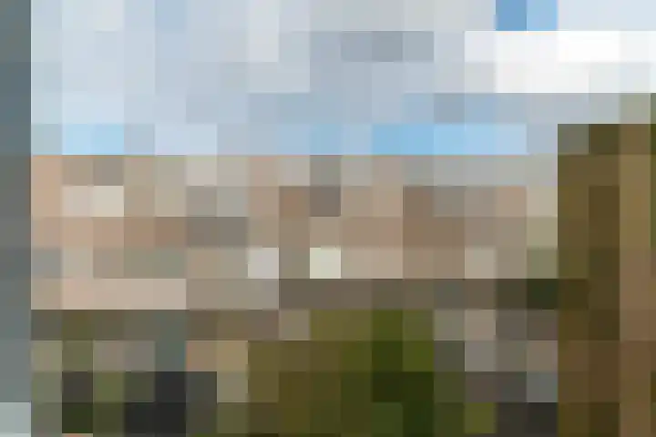 Spiraeastraat 69 Den Haag thumbnail 10