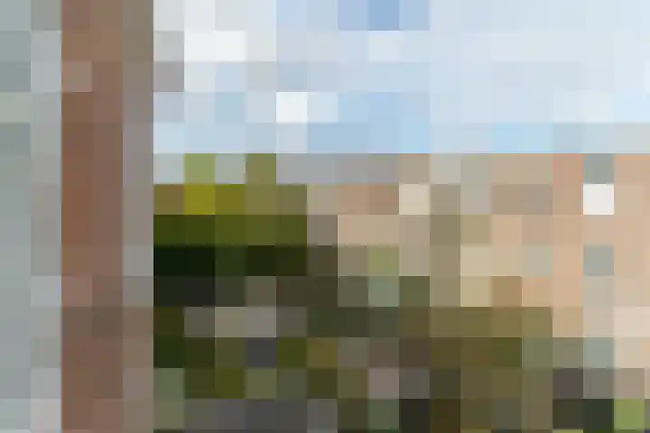 Spiraeastraat 69 Den Haag thumbnail 11