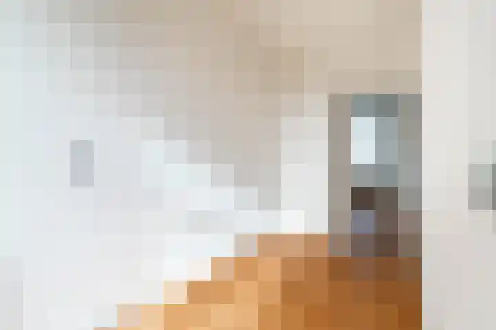 Spiraeastraat 69 Den Haag thumbnail 12