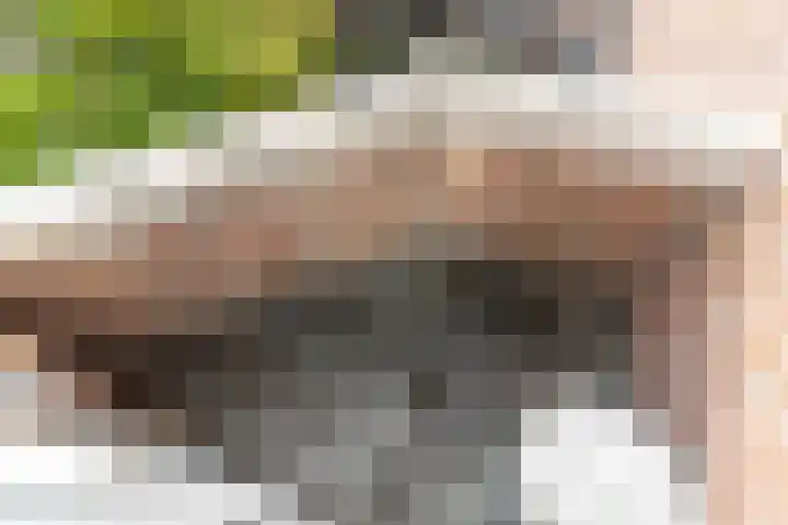 Spiraeastraat 69 Den Haag thumbnail 15