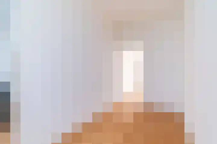 Spiraeastraat 69 Den Haag thumbnail 18