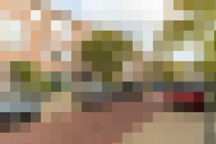 Spiraeastraat 69 Den Haag foto 2