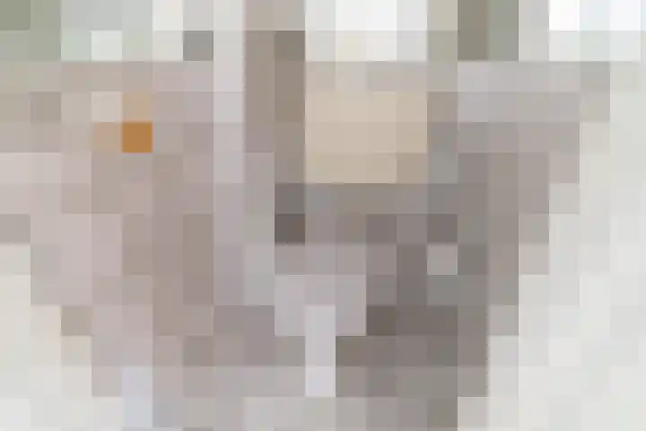Spiraeastraat 69 Den Haag thumbnail 23