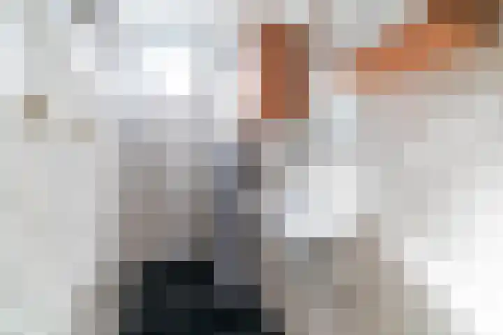 Spiraeastraat 69 Den Haag thumbnail 24