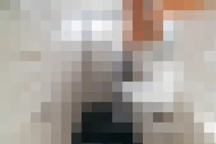 Spiraeastraat 69 Den Haag thumbnail 25