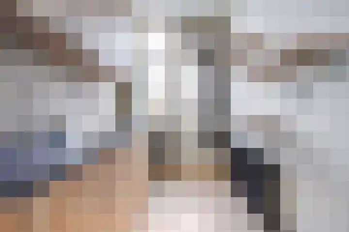 Spiraeastraat 75 Den Haag thumbnail 23