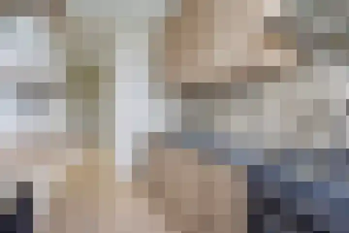 Spiraeastraat 75 Den Haag thumbnail 24