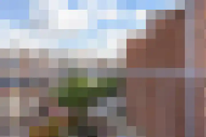 Spiraeastraat 75 Den Haag thumbnail 26