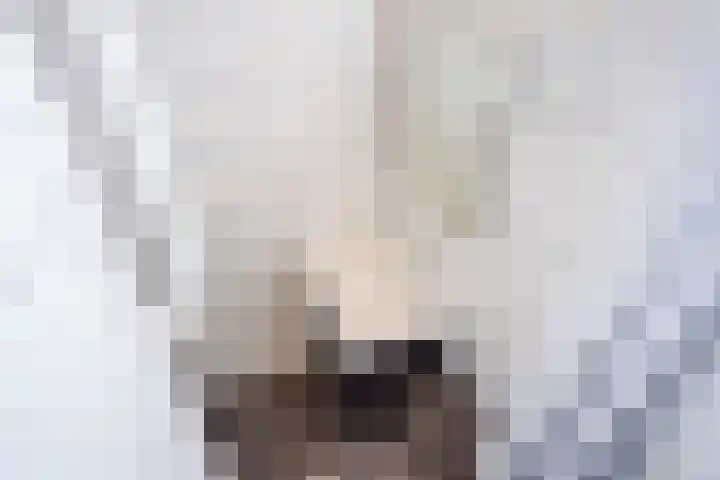 Spiraeastraat 75 Den Haag thumbnail 31