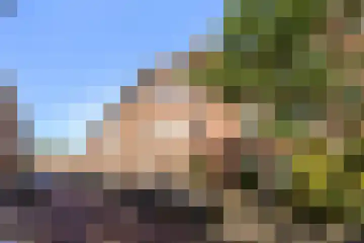 Spiraeastraat 75 Den Haag thumbnail 6