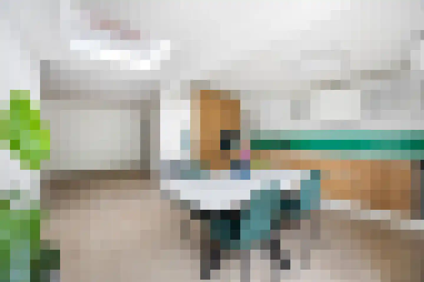 Spiraeastraat 84 Den Haag thumbnail 14