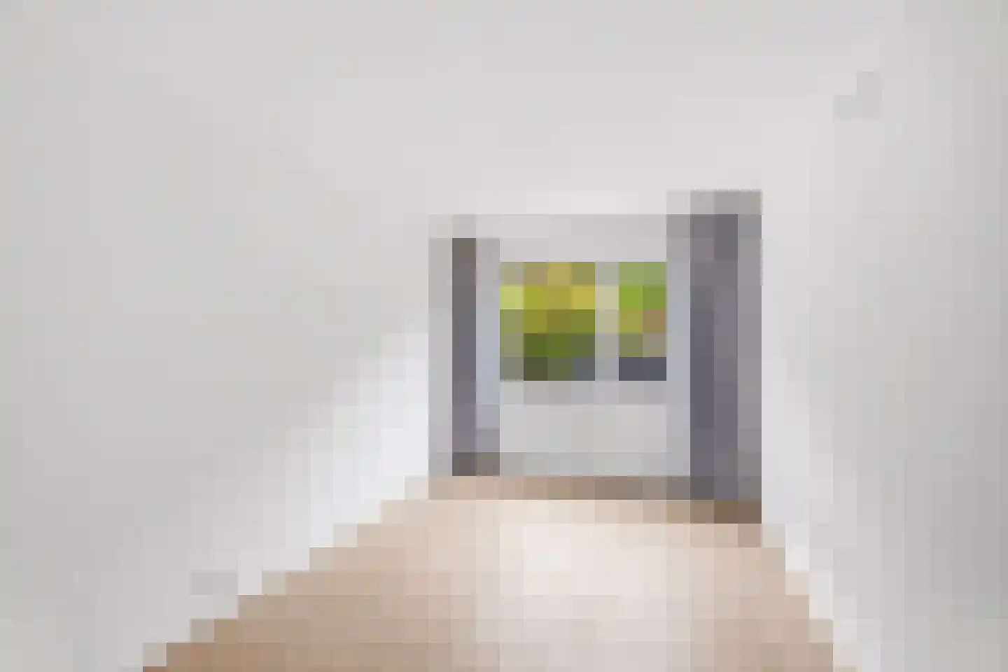 Spiraeastraat 84 Den Haag thumbnail 20