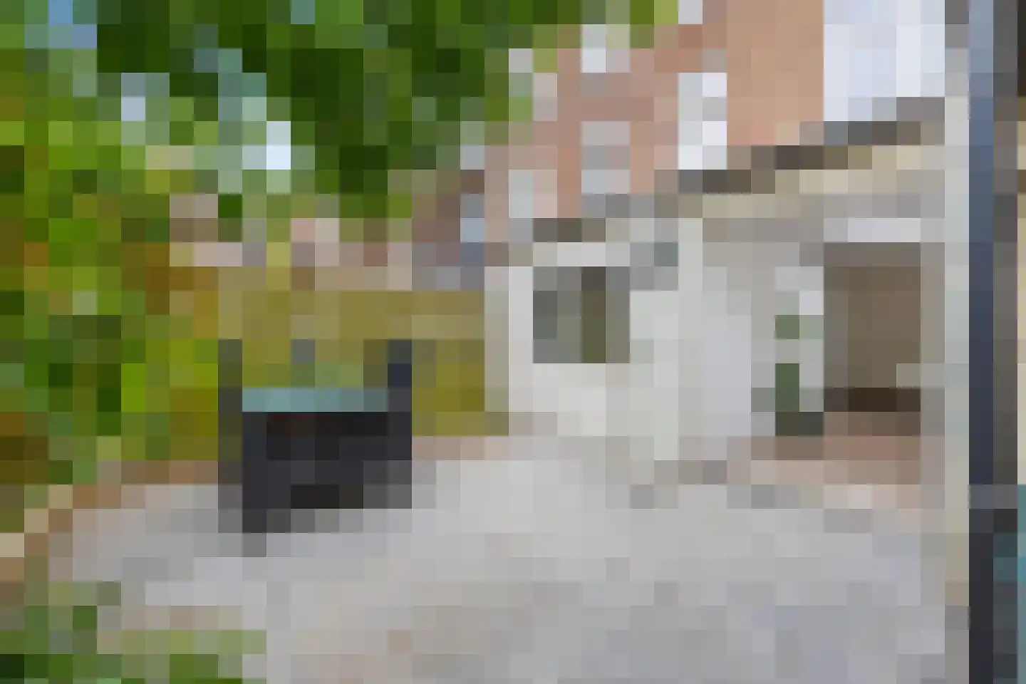 Spiraeastraat 84 Den Haag thumbnail 8