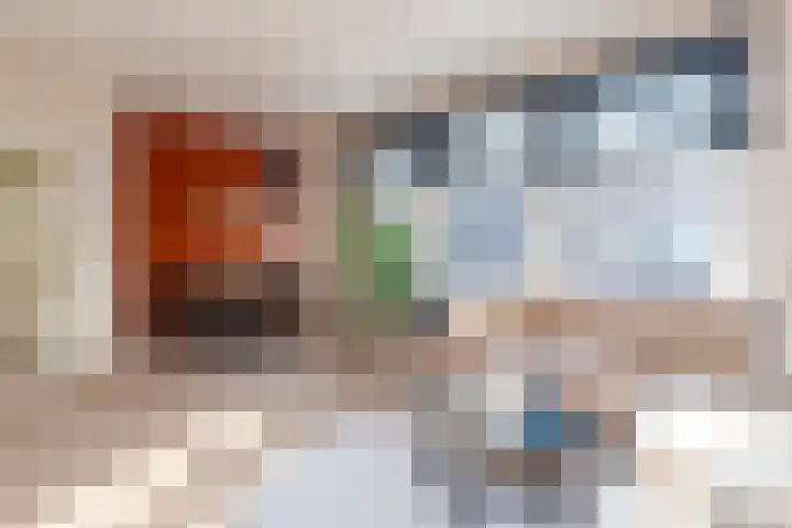 Spiraeastraat 9 Den Haag thumbnail 10