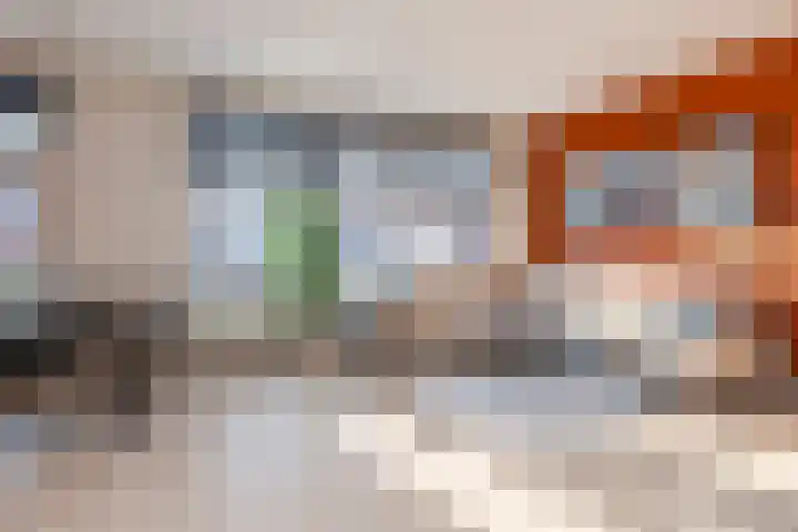 Spiraeastraat 9 Den Haag thumbnail 12