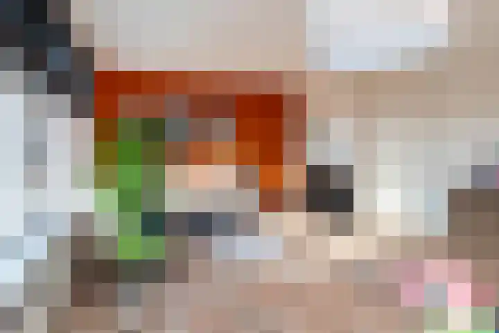 Spiraeastraat 9 Den Haag thumbnail 13