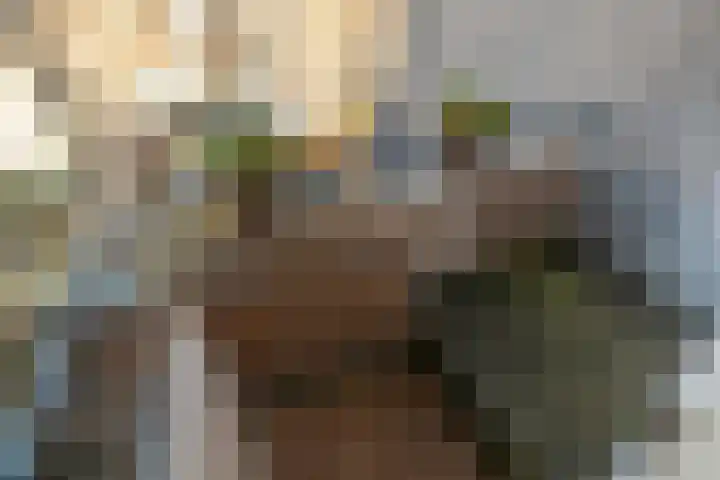 Spiraeastraat 9 Den Haag thumbnail 20