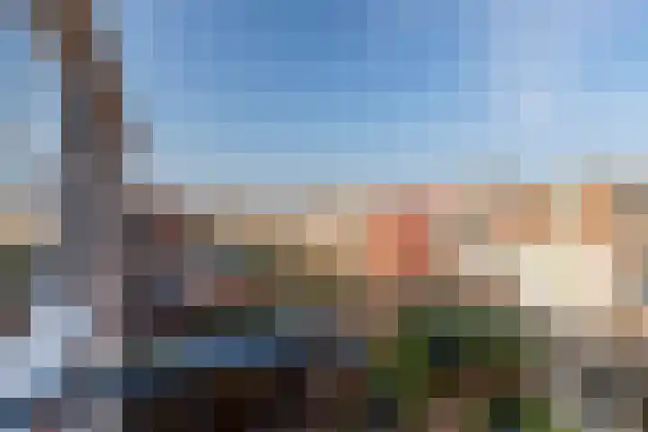 Spiraeastraat 9 Den Haag thumbnail 21
