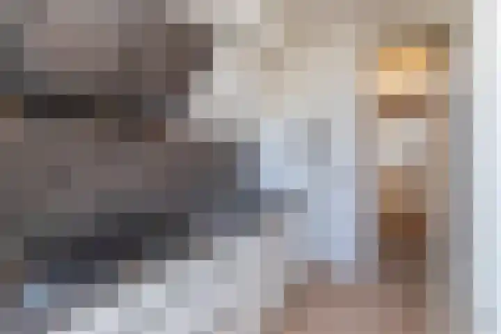 Spiraeastraat 9 Den Haag thumbnail 23