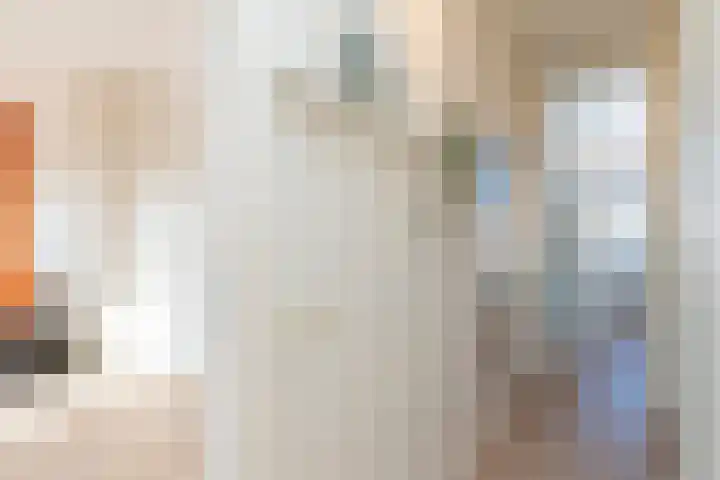 Spiraeastraat 9 Den Haag thumbnail 24