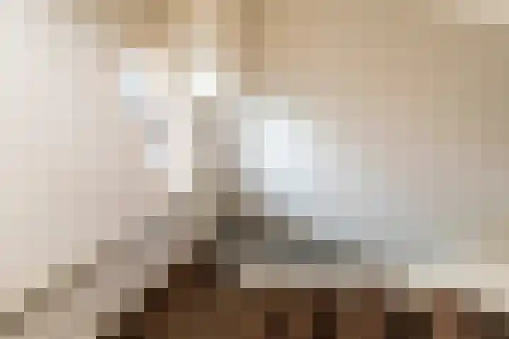 Spiraeastraat 9 Den Haag thumbnail 25